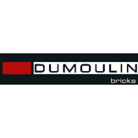 Dumoulin Bricks